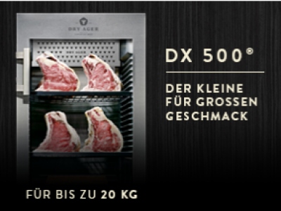 DX 500